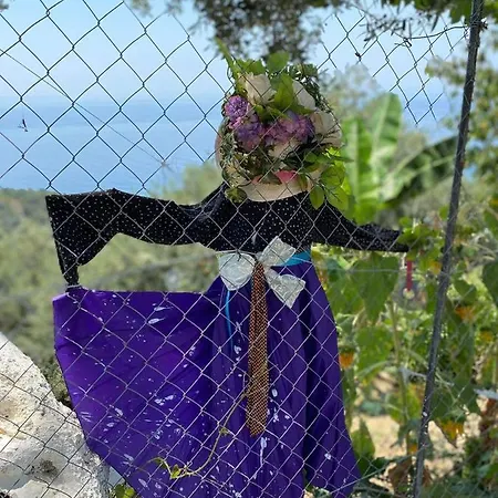 Shenmiter Διαμέρισμα *